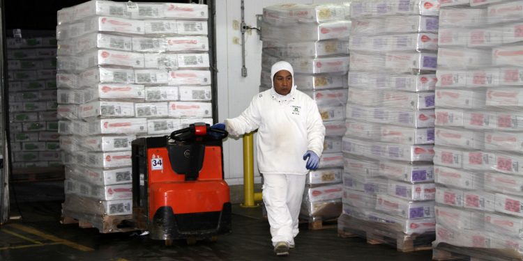 Exportacoes-de-carne-OMDN-O Mundo dos Negocios