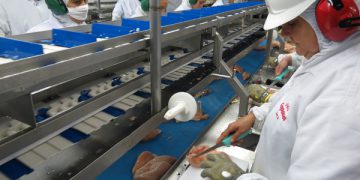 Exportações de Santa Catarina cresceram 10,75% em 2019, OMDN, O Mundo dos Negócios