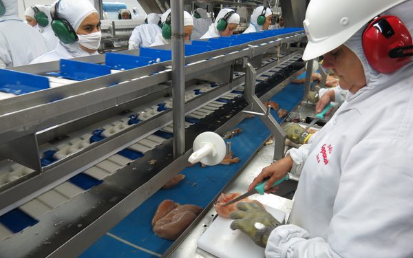 Exportações de Santa Catarina cresceram 10,75% em 2019, OMDN, O Mundo dos Negócios