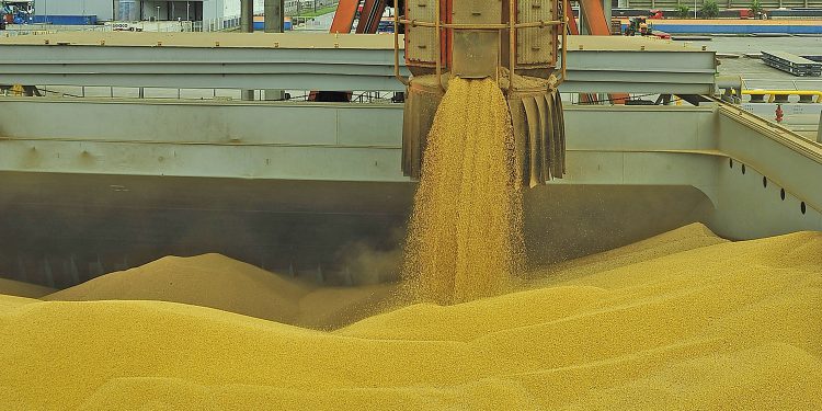 balança comercial, OMDN, O Mundo dos Negócios