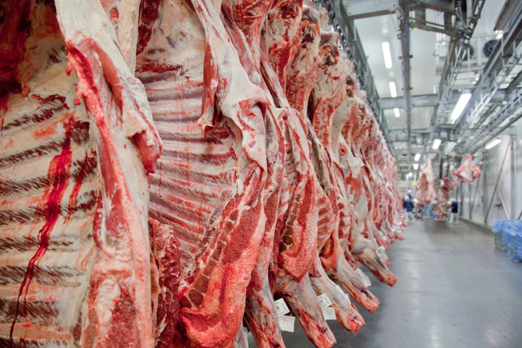 Carne Brasil deverá exportar 25 mil toneladas para a Indonésia