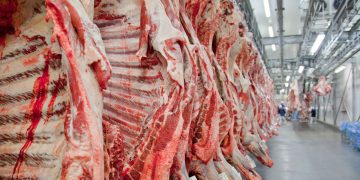 Carne Brasil deverá exportar 25 mil toneladas para a Indonésia