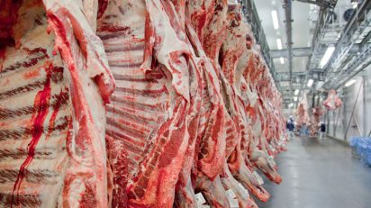Carne Brasil deverá exportar 25 mil toneladas para a Indonésia