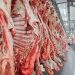 Carne Brasil deverá exportar 25 mil toneladas para a Indonésia