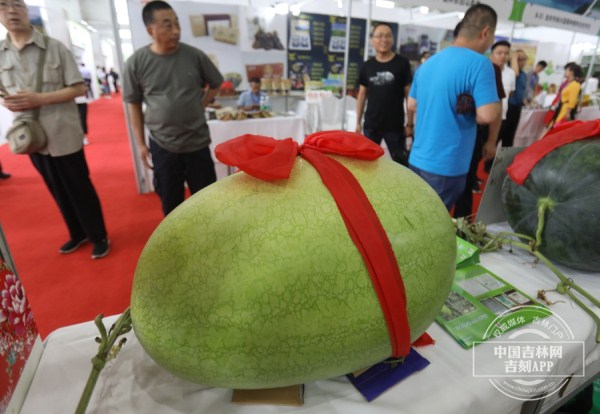 Feira Agricultura Alimentos, OMDN, O Mundo dos Negócios