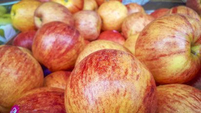 Maçã: Portonave lidera exportações da fruta em 2019