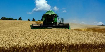 Agronegócio precisa se preparar e enxergar as oportunidades, OMDN, O Mundo dos Negócios