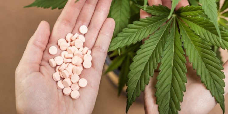 Canabidiol: liberada importação de medicamentos pela web, OMDN, O Mundo dos Negócios