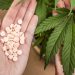 Canabidiol: liberada importação de medicamentos pela web, OMDN, O Mundo dos Negócios