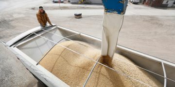 China planeja aumentar compras de produtos agrícolas dos EUA, OMDN, O Mundo dos Negócios