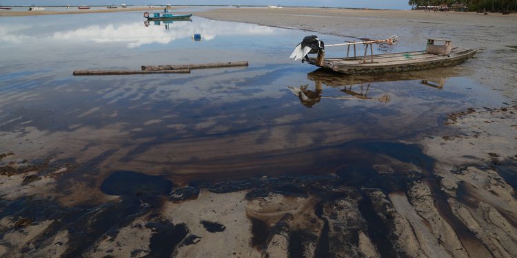 Empresas de seguro pedem atenção aos vazamentos de óleo, OMDN, O Mundo dos Negócios