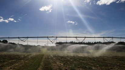 Agronegócio: PIB cresce mais que conjunto da economia, OMDN, O Mundo dos Negócios