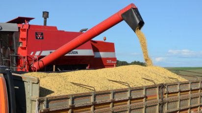 Exportações de SC caem 4,3% no acumulado do ano, OMDN, O Mundo dos Negócios