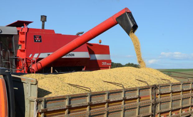 Exportações de SC caem 4,3% no acumulado do ano, OMDN, O Mundo dos Negócios