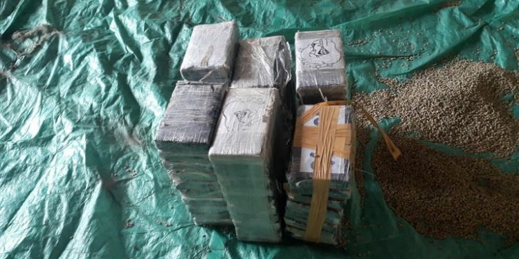 Receita localiza cocaína em carga de café no Porto de Santos, OMDN, O Mundo dos Negócios