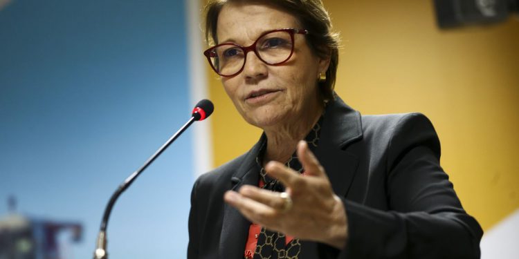 “Vamos reabrir o mercado para a carne brasileira”, diz ministra, OMDN, O Mundo dos Negócios