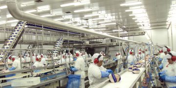 Exportações de frango: Brasil é destaque no mercado mundial, OMDN, O Mundo dos Negócios