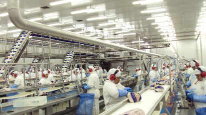 Exportações de frango: Brasil é destaque no mercado mundial, OMDN, O Mundo dos Negócios