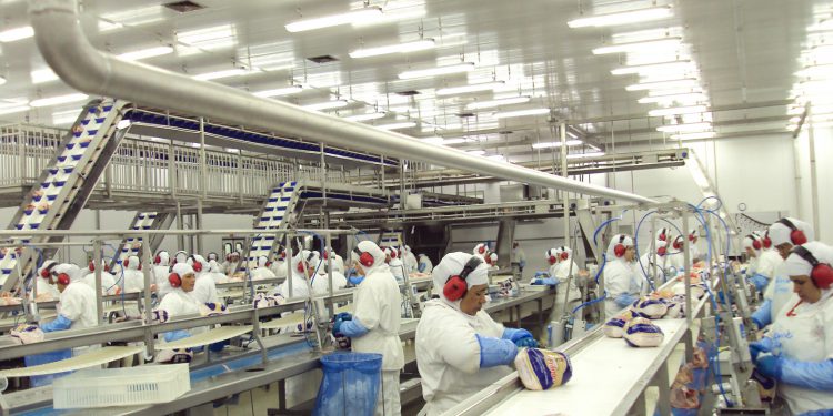 Exportações de frango: Brasil é destaque no mercado mundial, OMDN, O Mundo dos Negócios