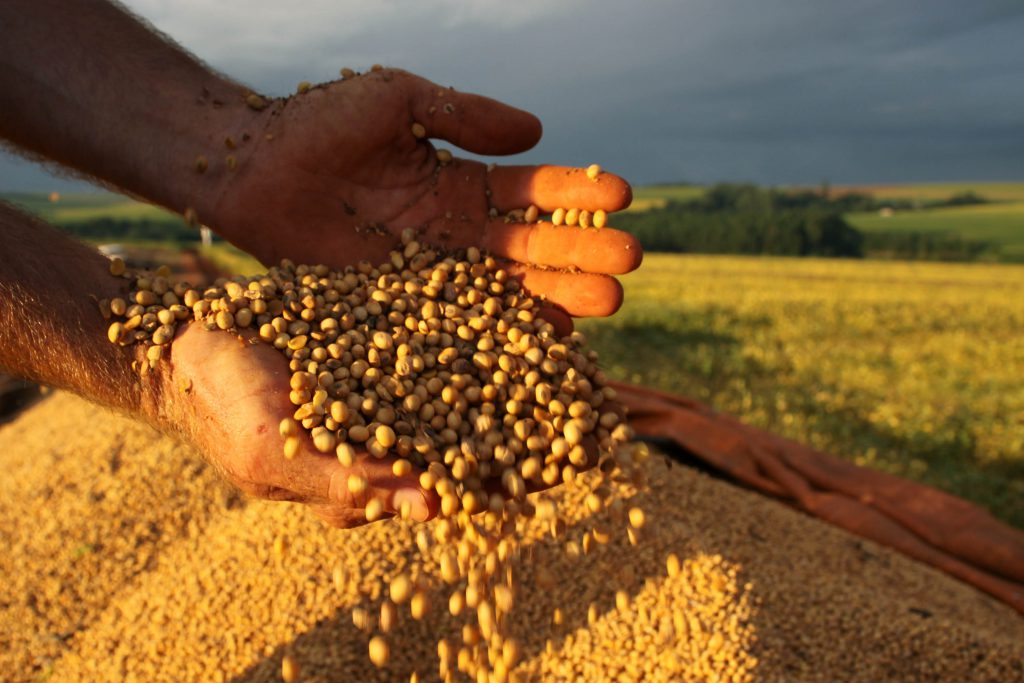 Saiba quais são os sete produtos mais exportados pelo Brasil, OMDN, O Mundo dos Negócios