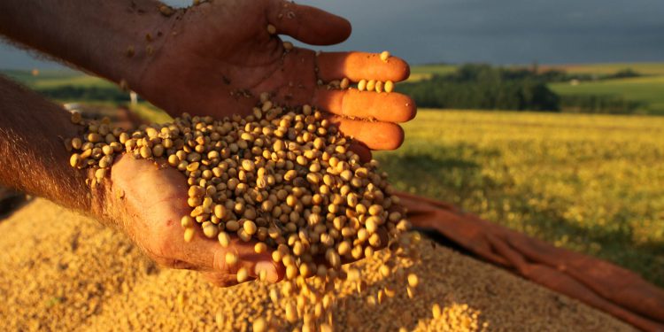 Saiba quais são os sete produtos mais exportados pelo Brasil, OMDN, O Mundo dos Negócios