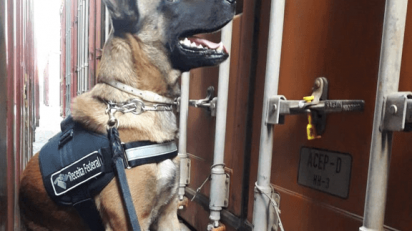 Recorde: Receita Federal já apreendeu 47 toneladas em 2019, OMDN, O Mundo dos Negócios