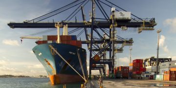 Containers refrigerados: preços de THC abaixo da média global, OMDN, O Mundo dos Negócios