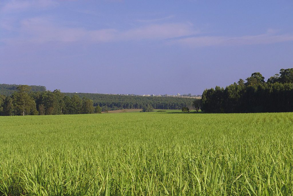 Agro Expo International será vitrine para o agronegócio, OMDN, O Mundo dos Negócios