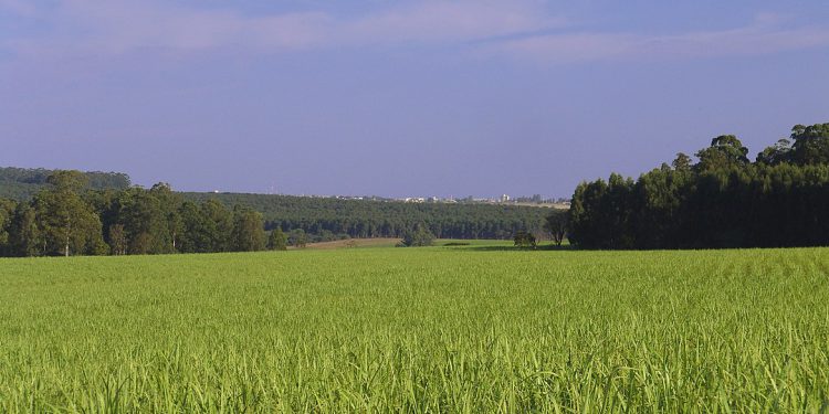 Agro Expo International será vitrine para o agronegócio, OMDN, O Mundo dos Negócios