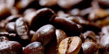 Café brasileiro pode ampliar presença no mercado europeu, OMDN, O Mundo dos Negócios