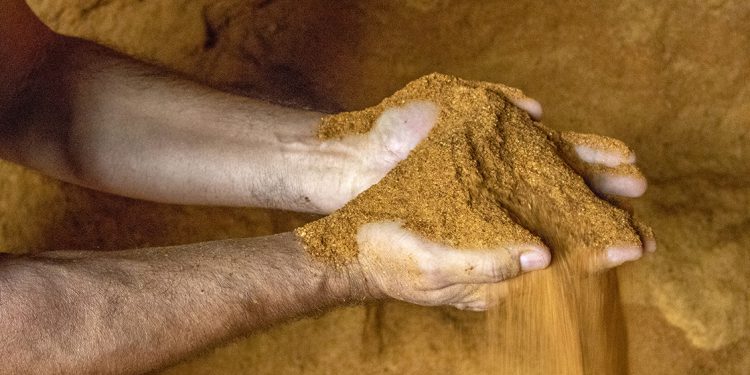 Porto de Paranaguá terá embarque pioneiro de DDGS no Brasil, OMDN, O Mundo dos Negócios