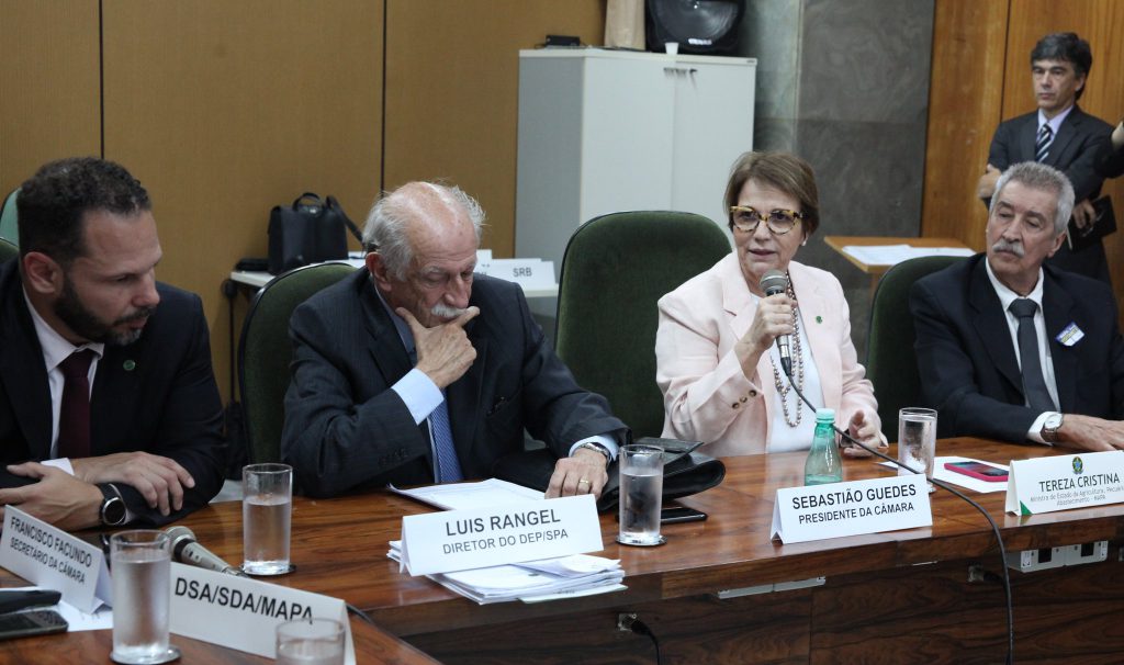 Ministra afasta risco de falta de proteína animal no mercado interno, OMDN, O Mundo dos Negócios