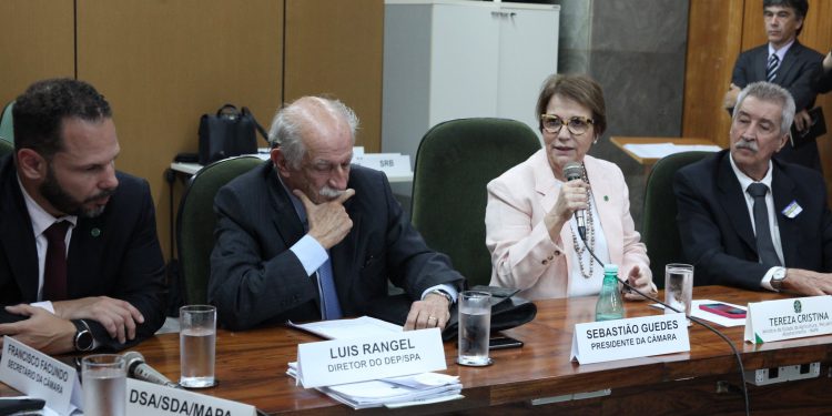 Ministra afasta risco de falta de proteína animal no mercado interno, OMDN, O Mundo dos Negócios