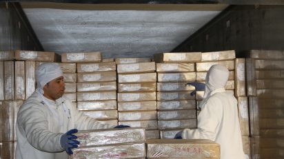 Exportações de carne: projeção de resultado recorde para 2019, OMDN, O Mundo dos Negócios