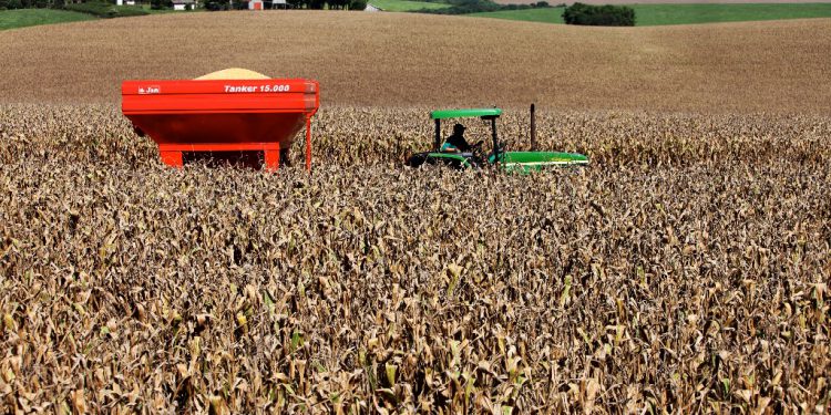 Agricultura acompanha com cautela crise entre Irã e EUA
