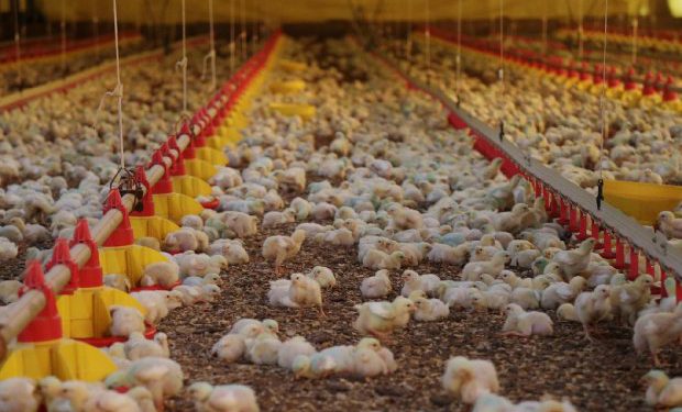 Balança comercial de SC tem déficit de US$ 8 bilhões em 2019, OMDN, O Mundo dos Negócios