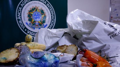Vigiagro controla e fiscaliza entrada de produtos no país, OMDN, O Mundo dos Negócios