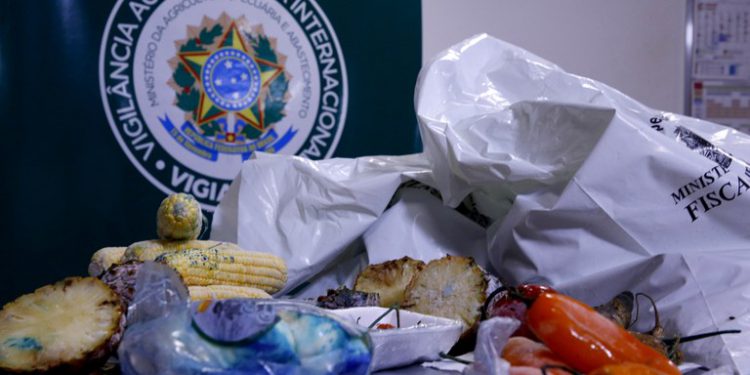 Vigiagro controla e fiscaliza entrada de produtos no país, OMDN, O Mundo dos Negócios