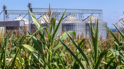 Exportações do agronegócio tiveram queda de 4,3% em 2019, OMDN, O Mundo dos Negócios