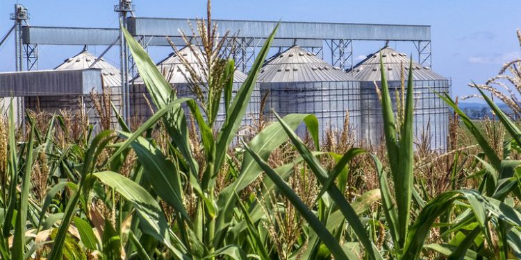 Exportações do agronegócio tiveram queda de 4,3% em 2019, OMDN, O Mundo dos Negócios