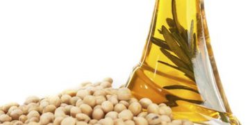 Brasil busca ampliar e diversificar comércio com a Índia, OMDN, O Mundo dos Negócios