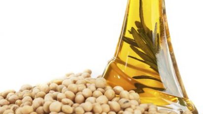 Brasil busca ampliar e diversificar comércio com a Índia, OMDN, O Mundo dos Negócios