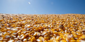 Brasil diz que quer manter relações comerciais com Irã