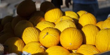 China autoriza importação de melão do Brasil, OMDN, O Mundo dos Negócios