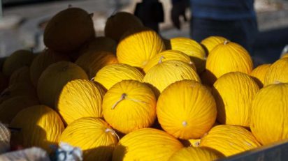 China autoriza importação de melão do Brasil, OMDN, O Mundo dos Negócios