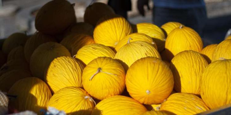 China autoriza importação de melão do Brasil, OMDN, O Mundo dos Negócios