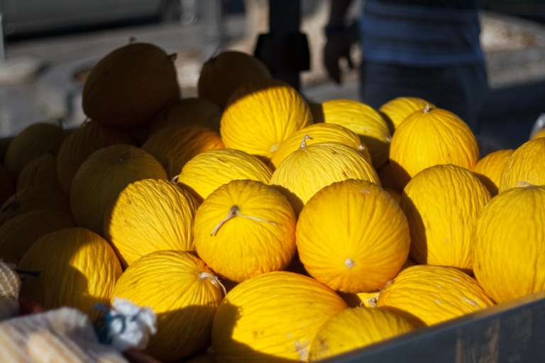 China autoriza importação de melão do Brasil, OMDN, O Mundo dos Negócios