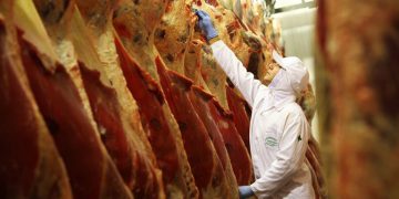 Carne bovina brasileira será exportada para o Kuwait, OMDN, O Mundo dos Negócios