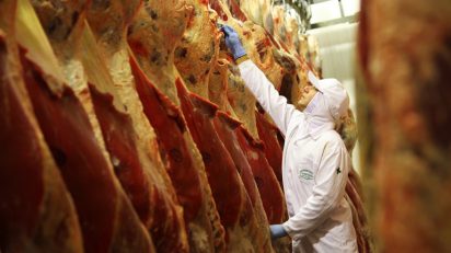 Carne bovina brasileira será exportada para o Kuwait, OMDN, O Mundo dos Negócios
