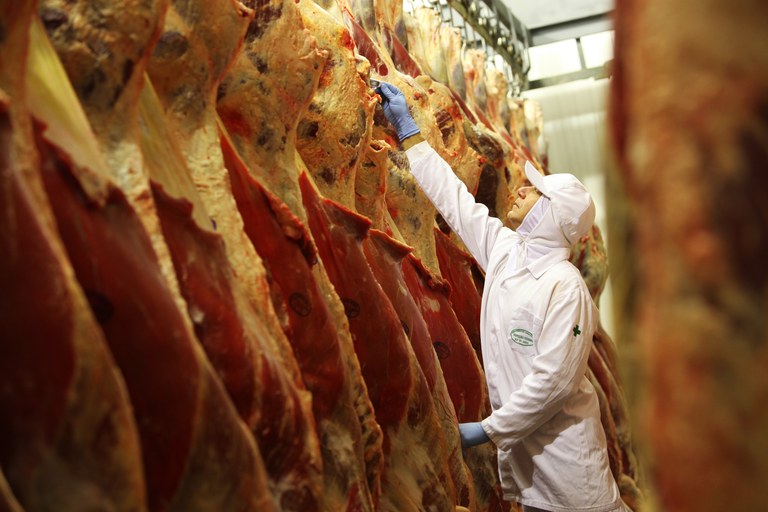 Carne bovina brasileira será exportada para o Kuwait, OMDN, O Mundo dos Negócios